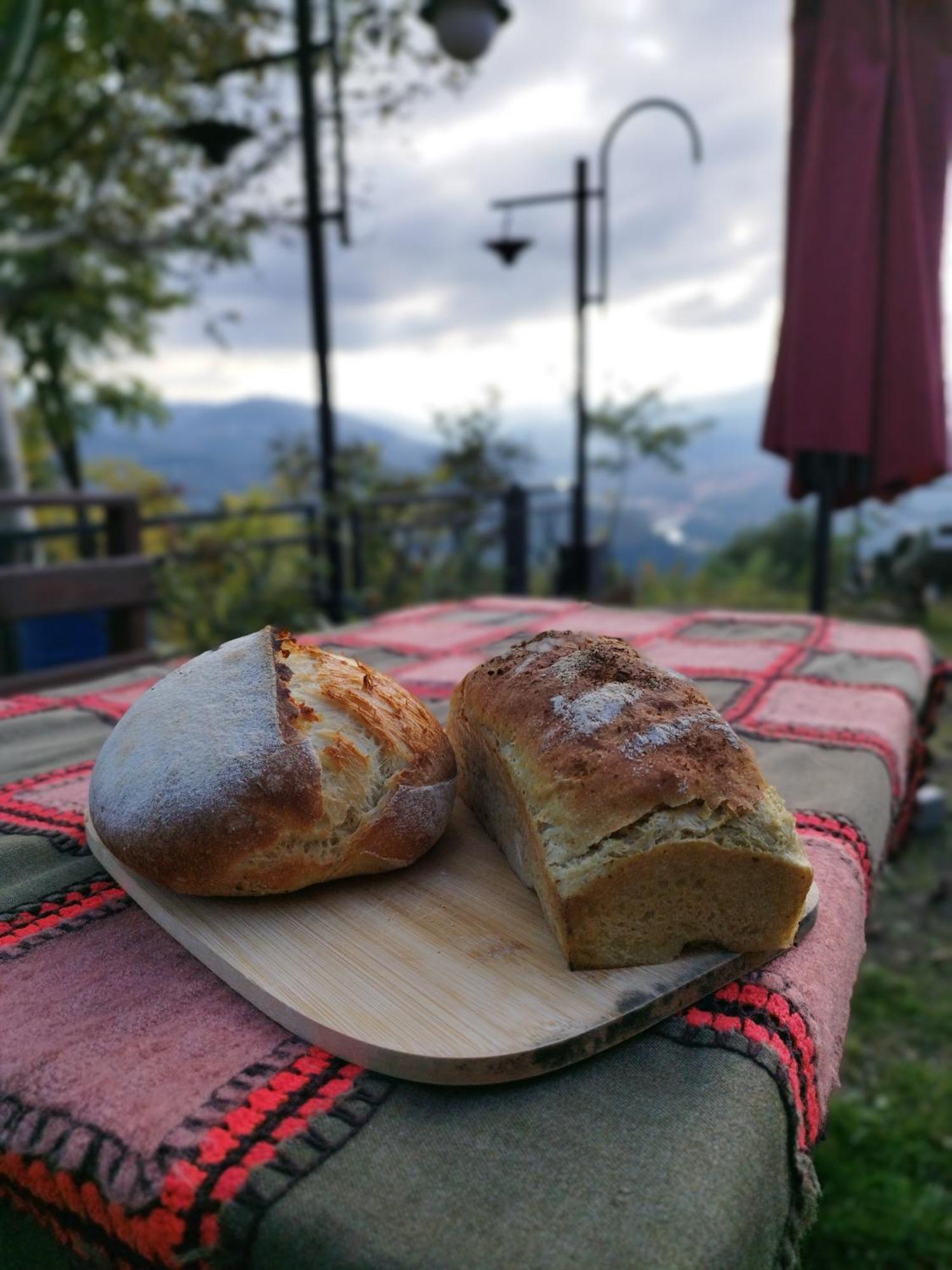 Hayat Oksijen Resort Ordu Exterior foto