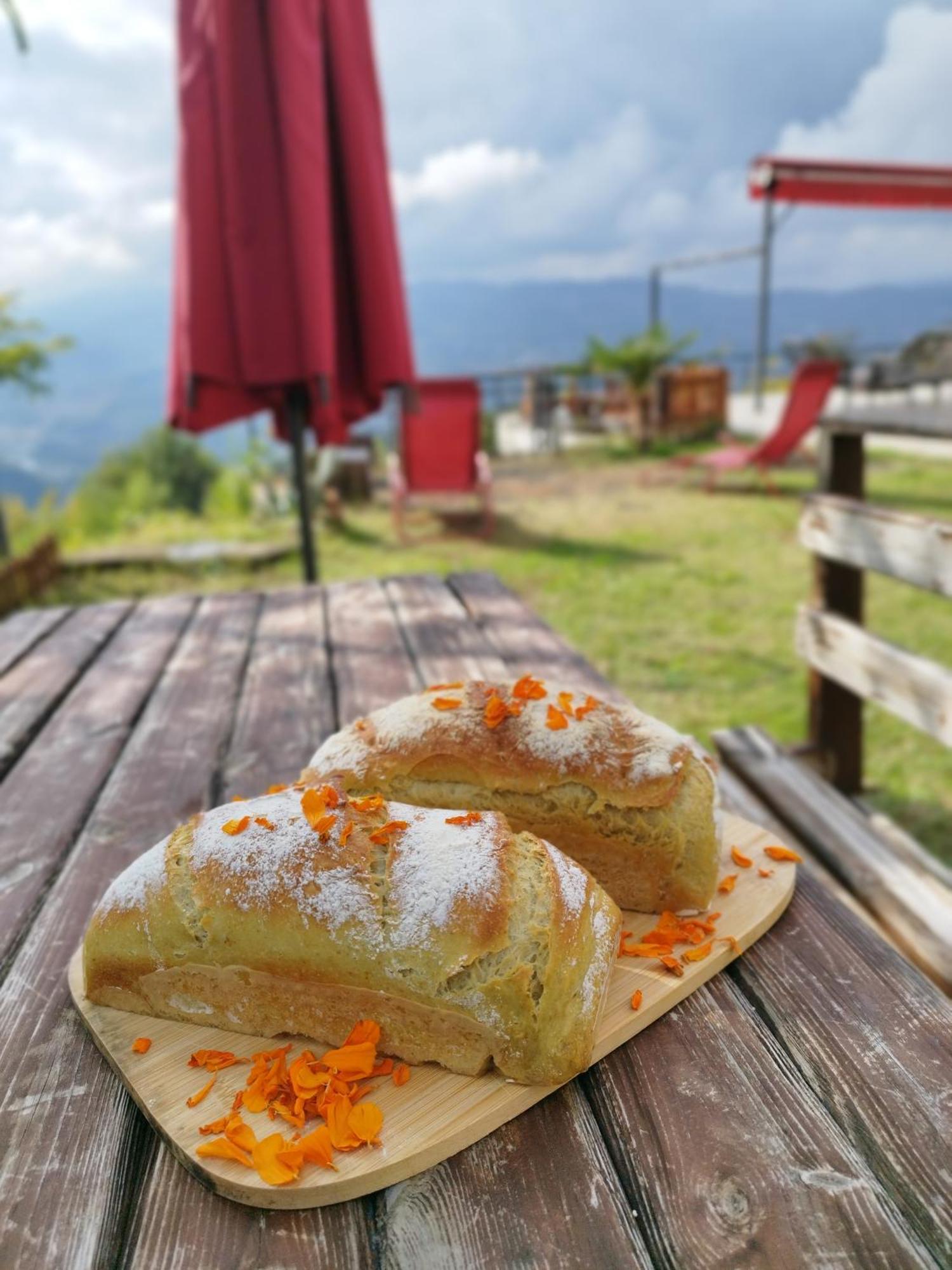 Hayat Oksijen Resort Ordu Exterior foto